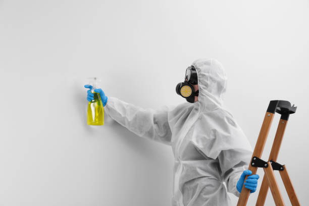 Best Emergency Mold Remediation  in Alpharetta, GA